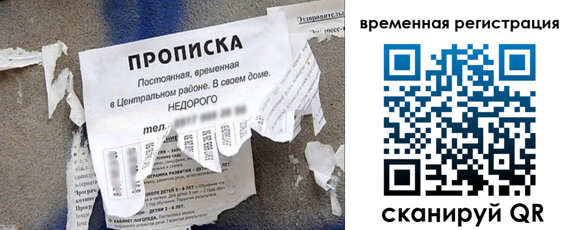 временная регистрация для всех в Павловске