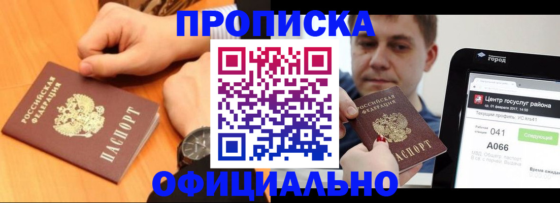 прописка поиск в Павловске